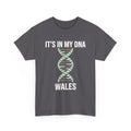 It's In My DNA — Wales Tee